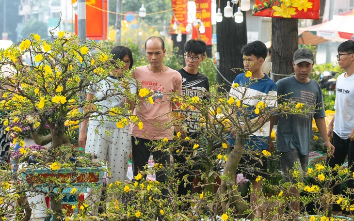 Valentine trùng 27 Tết, cúc bán chạy hơn hồng - Ảnh 2.