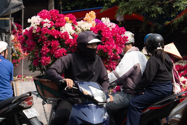 hoa Tết - Ảnh 2.