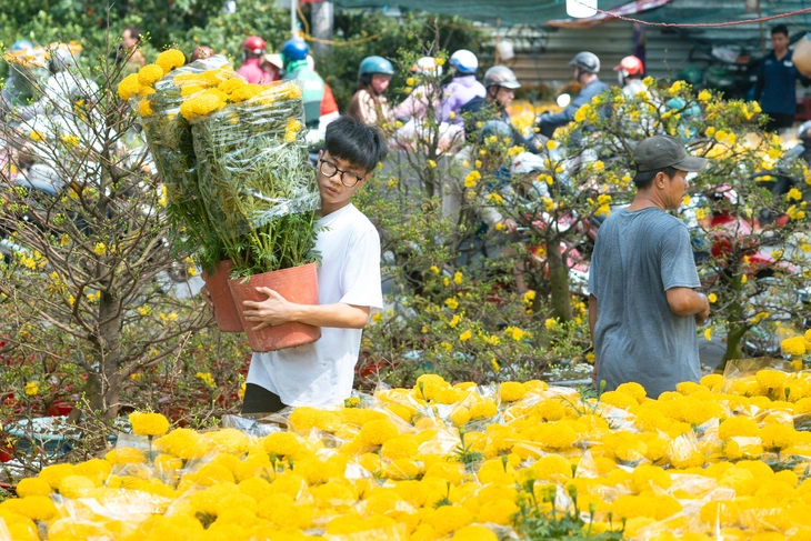 hoa Tết - Ảnh 7.