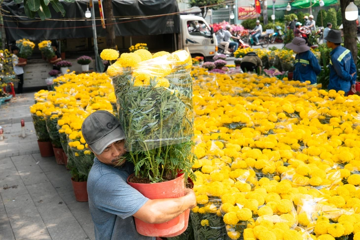 hoa Tết - Ảnh 6.