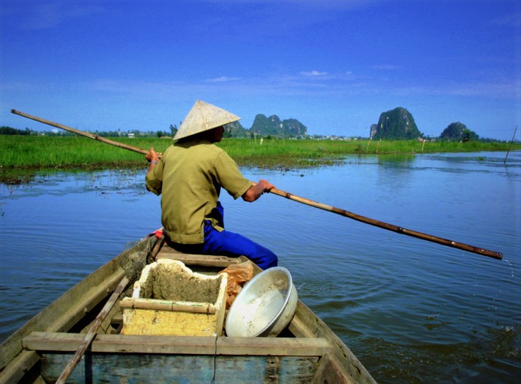 Xôi chim xứ Quảng: Bản tình xa giữa đồng nội Và dòng sông huyền thoại - Ảnh 2. Xôi chim xứ Quảng - Ảnh 2.