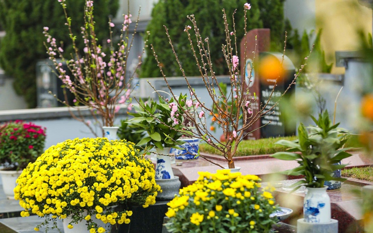 Sinh ra ở TP.HCM, lớn lên với tiếng còi xe thì đó là quê quán chân thật nhất - Ảnh 2.