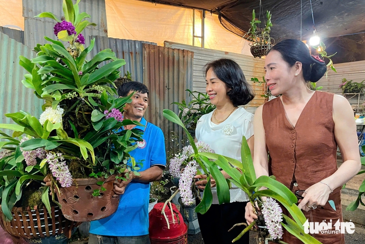 Mai vàng vượt lũ, lan rừng hút khách ở chợ hoa Buôn Ma Thuột - Ảnh 3.