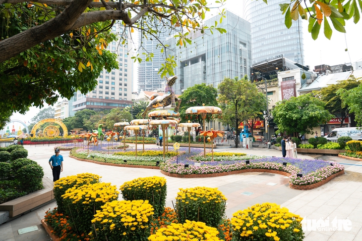 đường hoa Nguyễn Huệ - Ảnh 6.