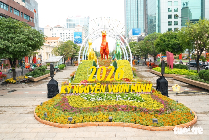 đường hoa Nguyễn Huệ - Ảnh 11.