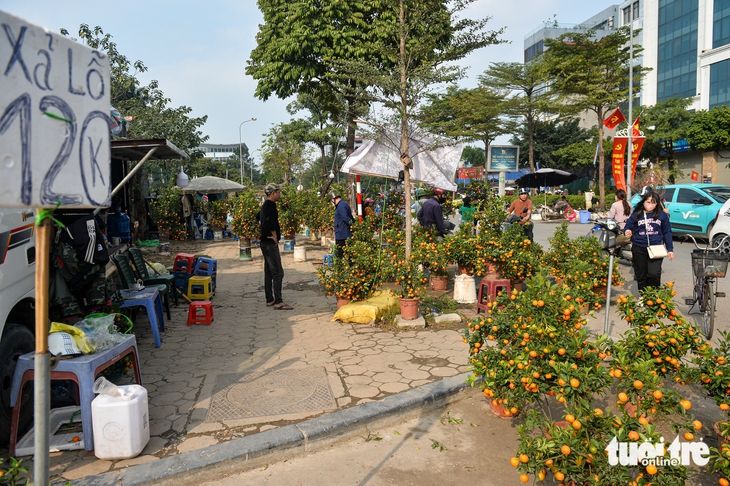 xả hàng - Ảnh 5.