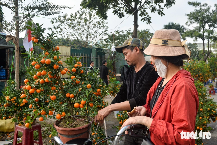 xả hàng - Ảnh 7.