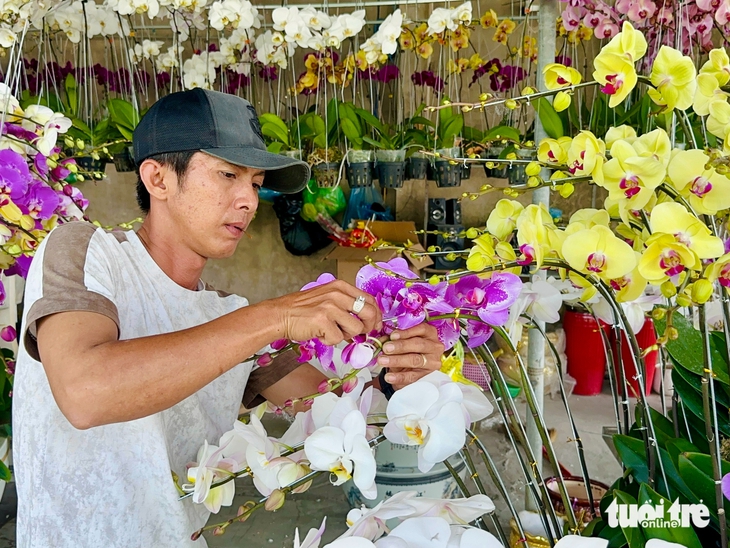 Lan hồ điệp giảm giá ngày giáp Tết, nhiều vườn ở Rạch Giá bán chạy - Ảnh 3.