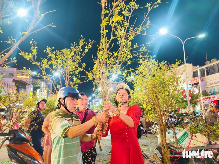 'Chợ' nhánh mai vàng ở Long Xuyên rộn ràng tối 28 Tết, giá rẻ hơn năm trước - Ảnh 5.