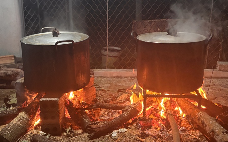 20 năm qua tôi đều nhận được chậu hoa mào gà lung linh dịp Tết - Ảnh 3.