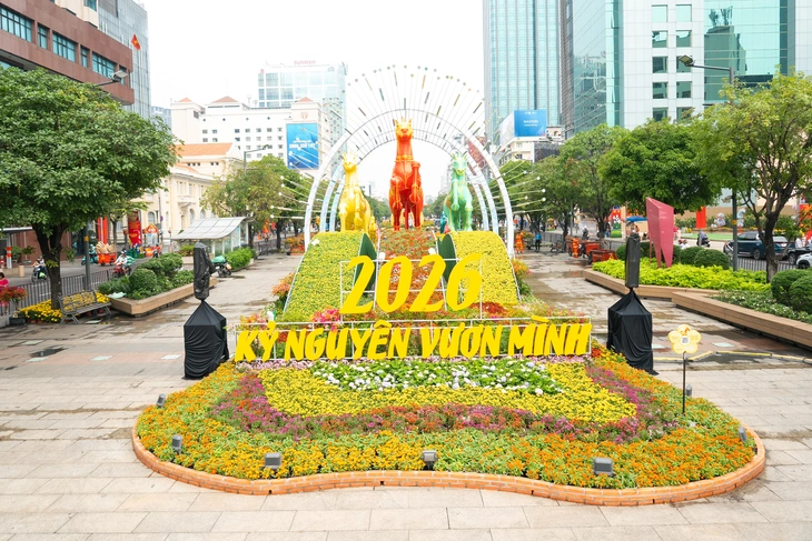 đường hoa Nguyễn Huệ - Ảnh 11.