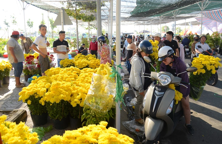 kiểng Tết - Ảnh 1.