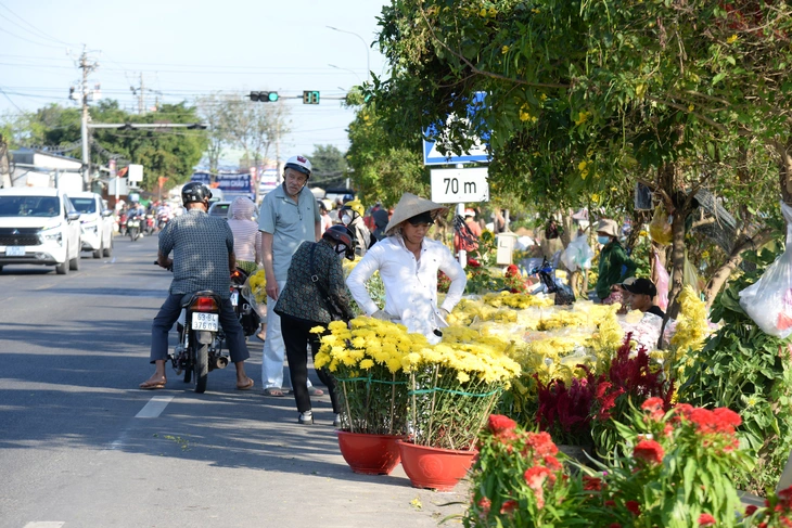 kiểng Tết - Ảnh 4.