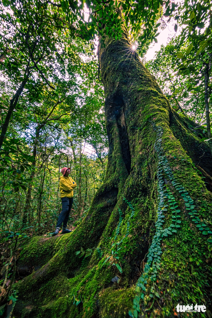Pa Thiên - Ảnh 7.