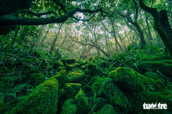 Pa Thiên - Ảnh 8.