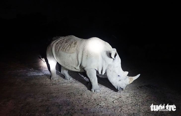 Phú Quốc - Ảnh 5.