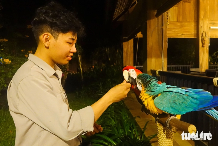 Phú Quốc - Ảnh 3.