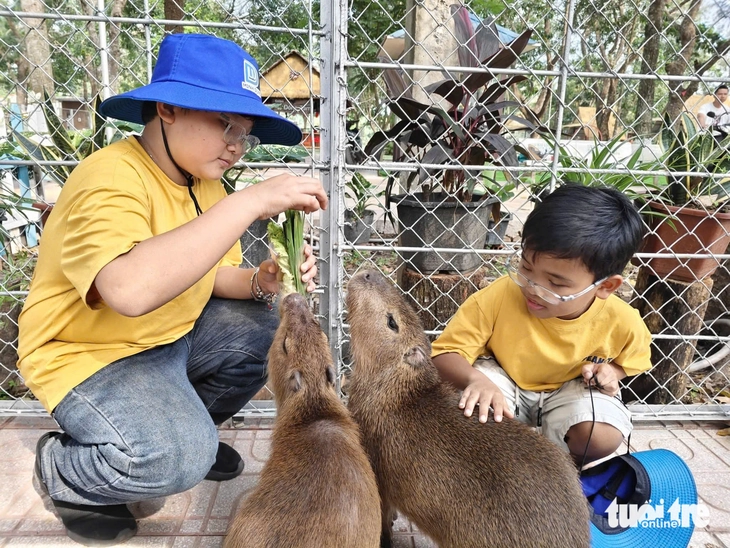 trại rắn - Ảnh 3.