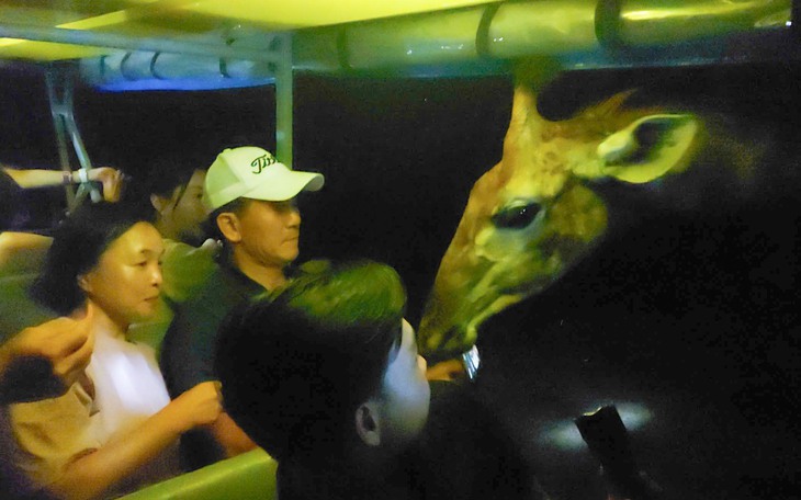 Tết Việt trong mắt khách quốc tế  - Ảnh 5.