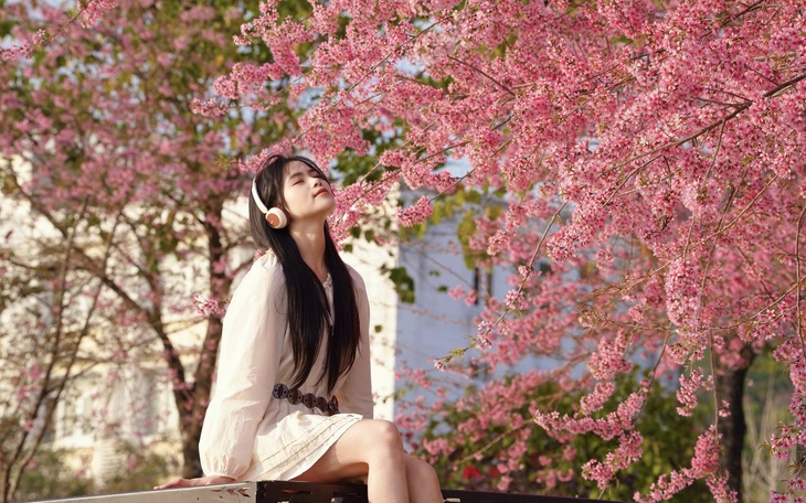 Việt Nam có mâm ngũ quả, Trung Quốc có gì trong Tết Nguyên đán? - Ảnh 6.