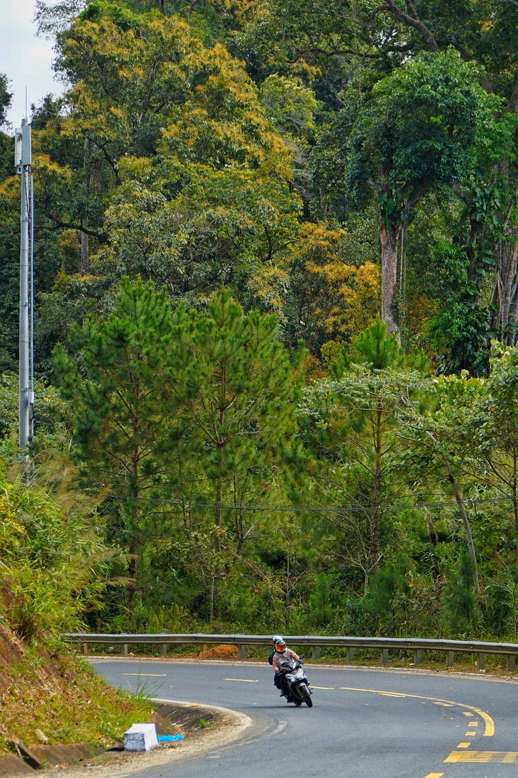 Măng Đen - Ảnh 2.