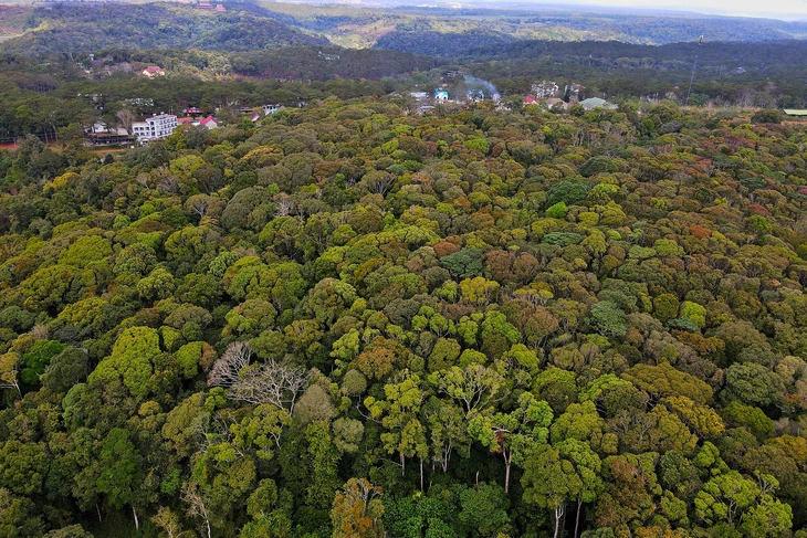 Măng Đen - Ảnh 6.