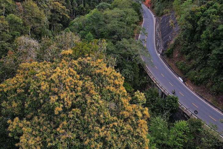 Măng Đen - Ảnh 5.