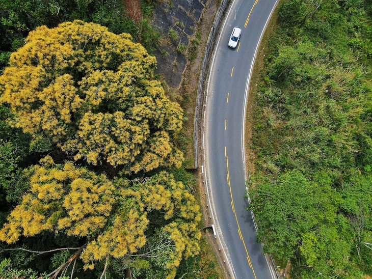 Măng Đen - Ảnh 11.