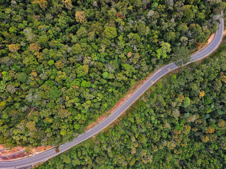 Măng Đen - Ảnh 12.