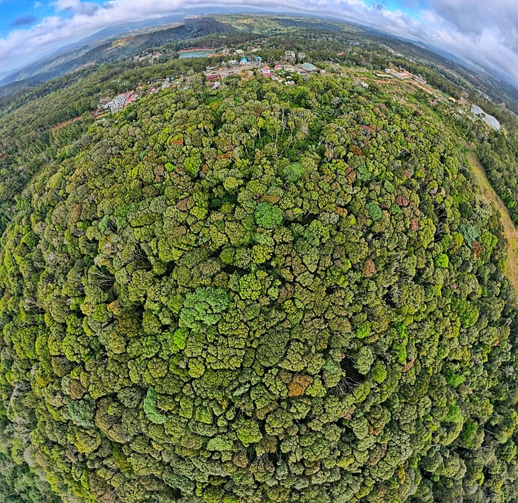 Măng Đen - Ảnh 8.