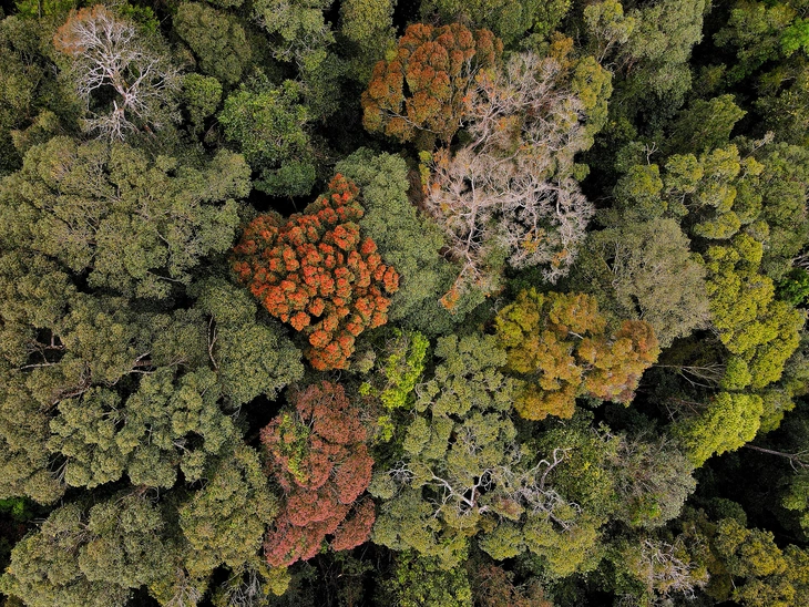 Măng Đen - Ảnh 14.