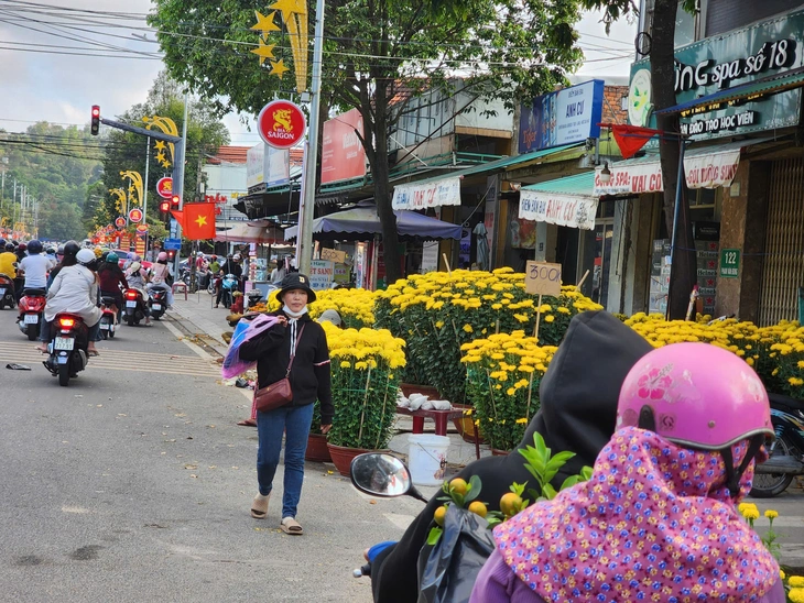 Sức mua yếu, chợ hoa Tết Quảng Ngãi ế ẩm, tiểu thương đồng loạt xả hàng chiều 29 tháng chạp - Ảnh 9.