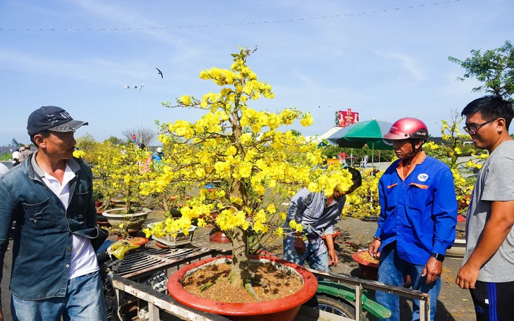 Sức mua yếu, chợ hoa Tết Quảng Ngãi ế ẩm, tiểu thương đồng loạt xả hàng chiều 29 tháp Chạp - Ảnh 2.
