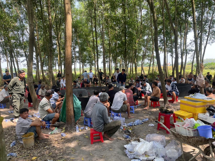 Phá xới đá gà mùa Tết tiền tỉ ở Gò Dầu, Tây Ninh - Ảnh 1.