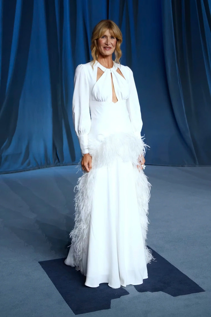 Laura Dern - Ảnh 3.