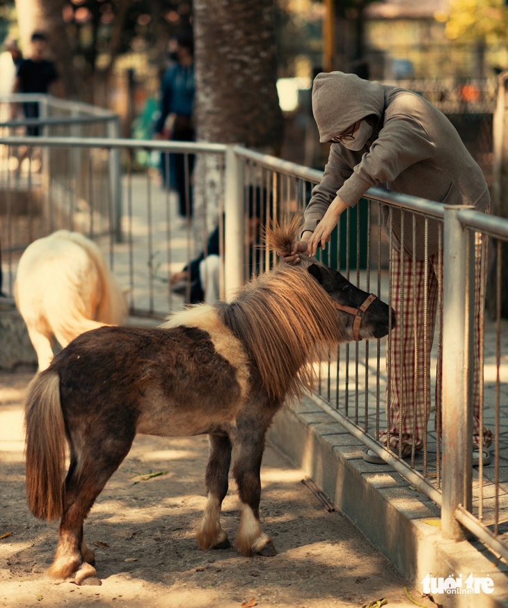 trại rắn - Ảnh 11.
