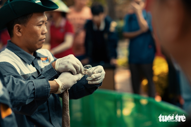 Ngắm khoảnh khắc đáng yêu của rái cá, rắn, ngựa, mèo ở Đồng Tâm - Ảnh 2.