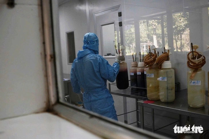 con ngựa - Ảnh 7.