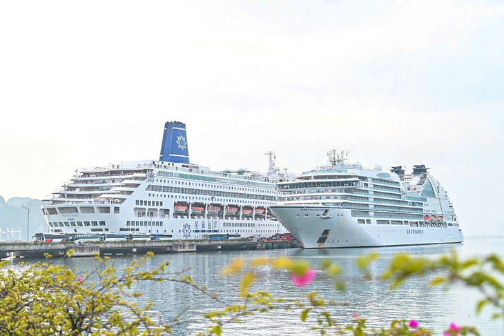 Quảng Ninh đón 2.400 du khách quốc tế đến ‘xông đất’ - Ảnh 3. khách quốc tế - Ảnh 3.