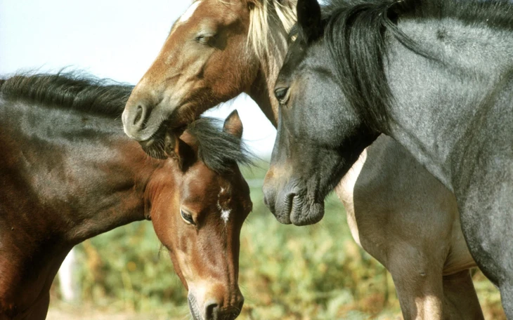 Gần 2,6 triệu học sinh TP.HCM trở lại trường sau Tết Nguyên đán   - Ảnh 7.