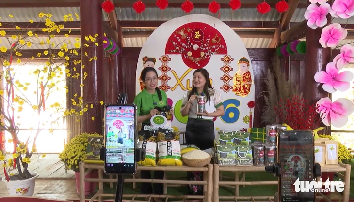 Lúa nếp - Ảnh 2.