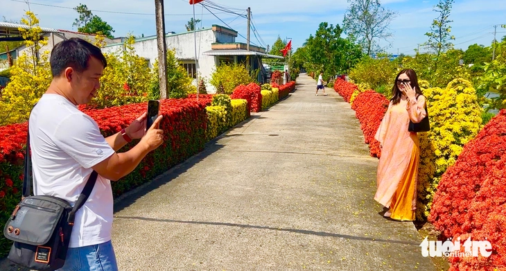 đường mai - Ảnh 3.