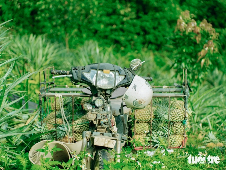 thung lũng Đồng Din - Ảnh 8.