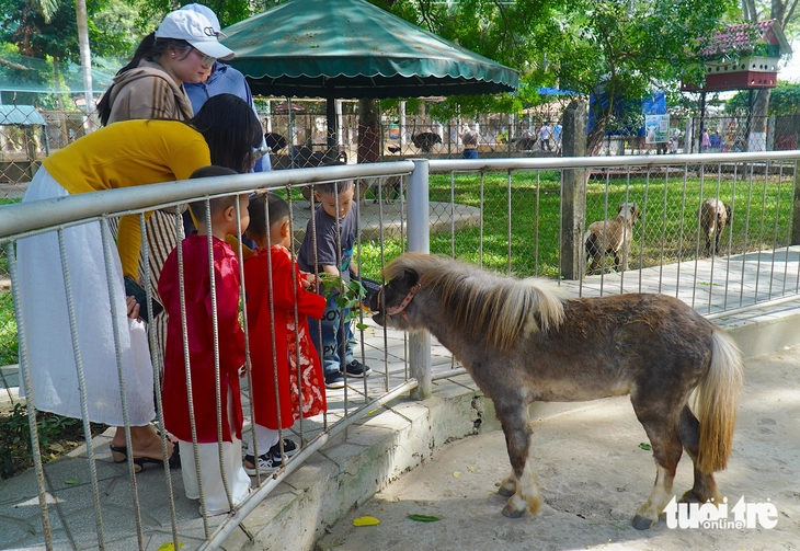 Ngôi sao của trại rắn Đồng Tâm dịp Tết năm nay là... ngựa lùn - Ảnh 4.