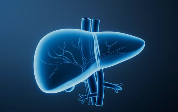 Những điều cần biết về 50 triệu tấn tế bào 'bất tử' của Henrietta Lacks - Ảnh 3.