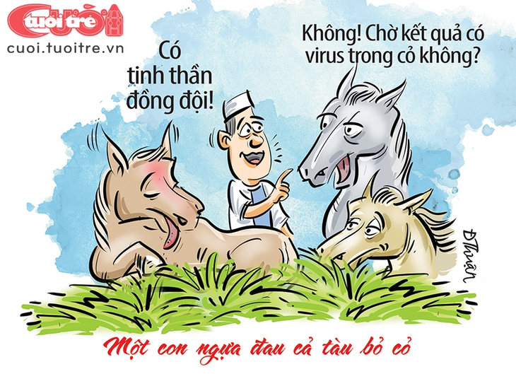 Một con ngựa đau cả tàu... hẹ hẹ - Ảnh 2.