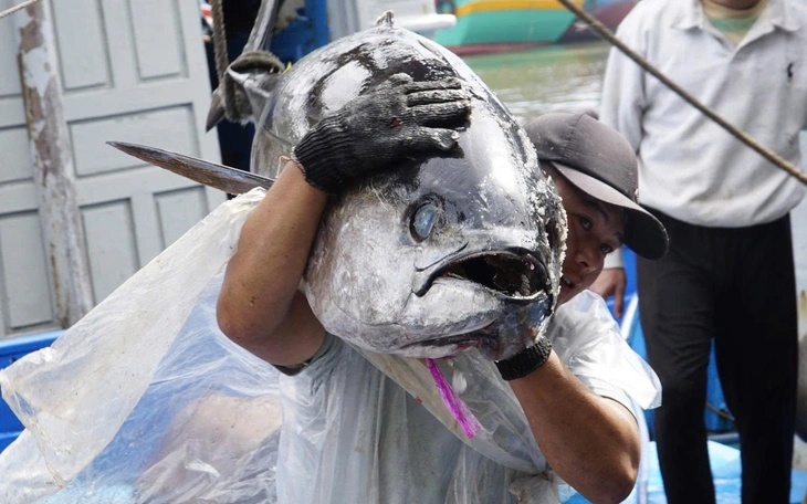 Nét văn hóa độc đáo, làng chài dong thuyền ra cửa biển cúng tạ ơn ngày cuối năm - Ảnh 8.
