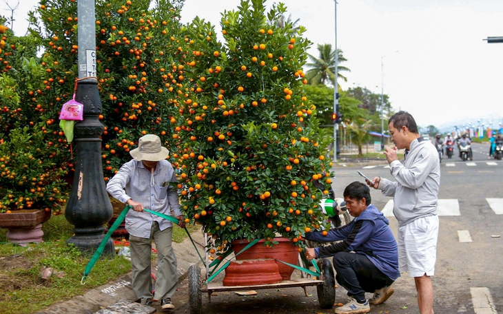 Sản vật vùng miền quy tụ tại Hội chợ mùa xuân - Ảnh 3.