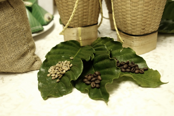 Năm Du lịch Quốc gia - Ảnh 5.