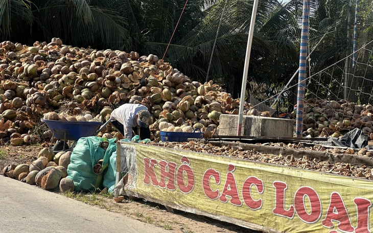 Sản vật vùng miền quy tụ tại Hội chợ mùa xuân - Ảnh 2.